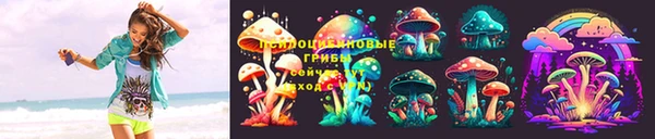 spice Белокуриха